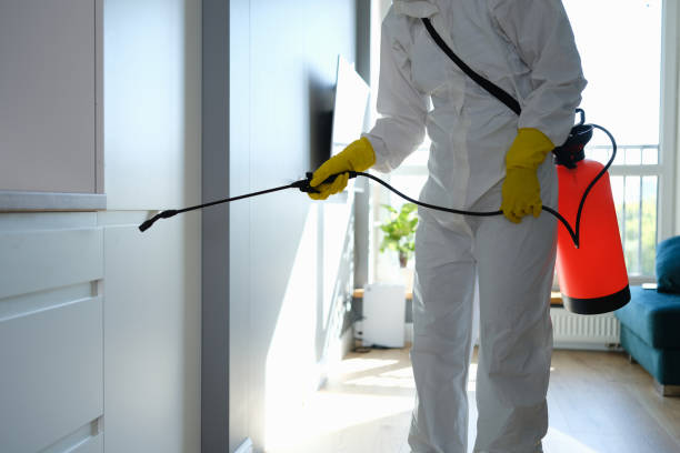 Best Local Mold Removal Service  in Logan, OH
